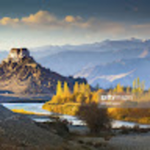 Meet your Posher, Rishav - Picture 1 of 1